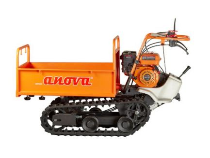 Chenillard Anova OR7320